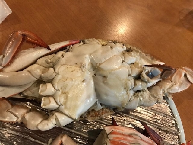 3_腹節取ったあと.jpeg