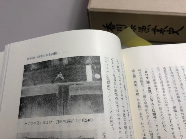 4サワラの尾2.jpg