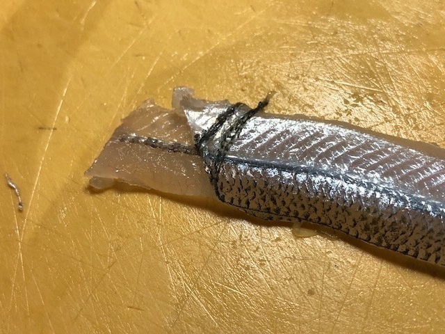 5サヨリ 皮.jpg