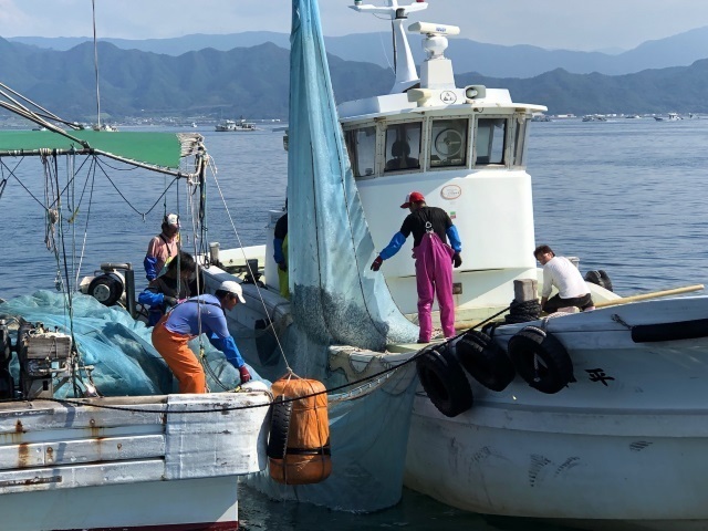 6瀬戸内海機船船びき網漁業.jpg