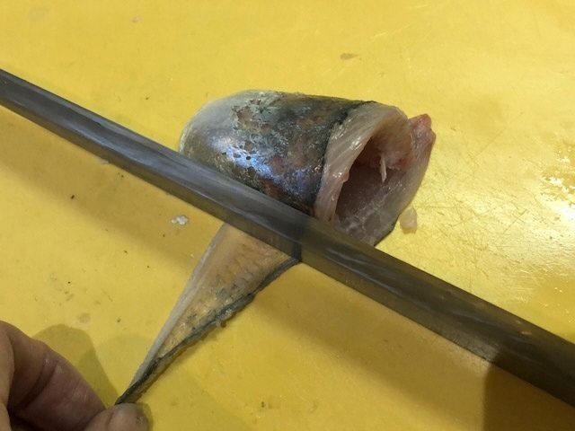8包丁の背を使い.jpg