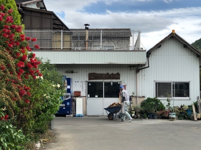8山下うどん.jpg