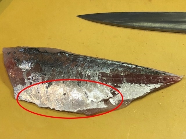 9お腹の身もきれい.jpg