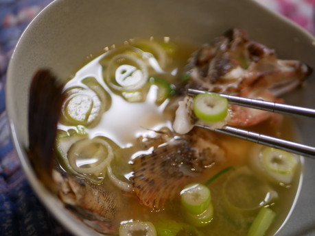 カサゴの味噌汁 うどん県のおさかな情報