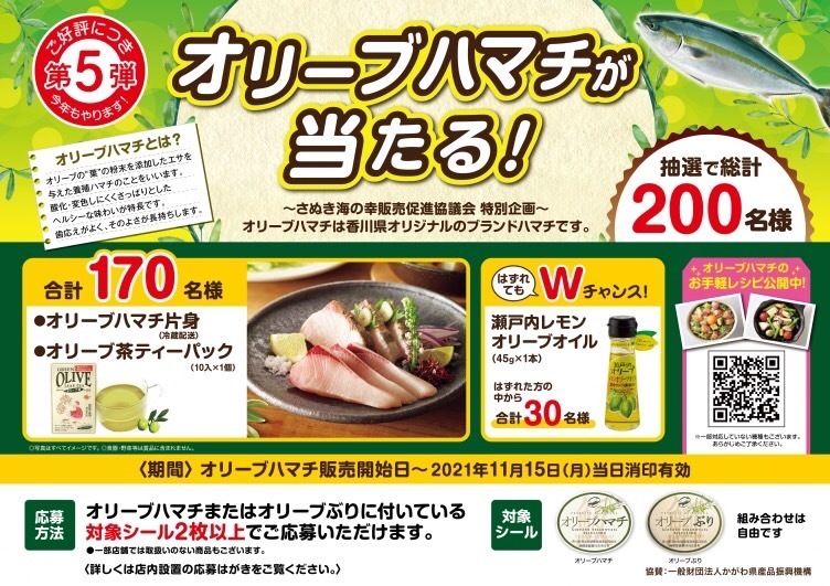 オリーブハマチ販売開始！: うどん県のおさかな情報