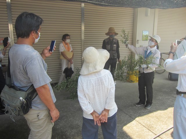 c-IMG_4154.jpg